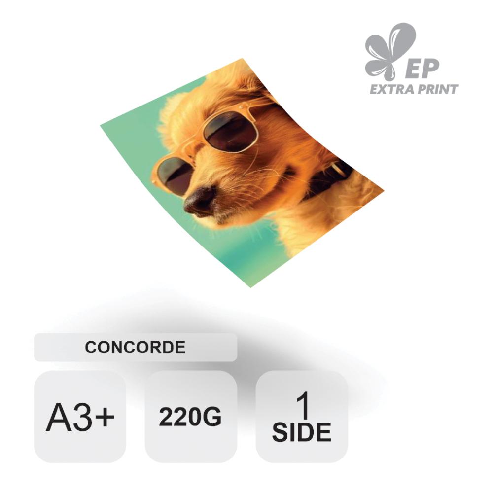 Cetak Digital A3+ 1 Sisi Concorde Putih 220g