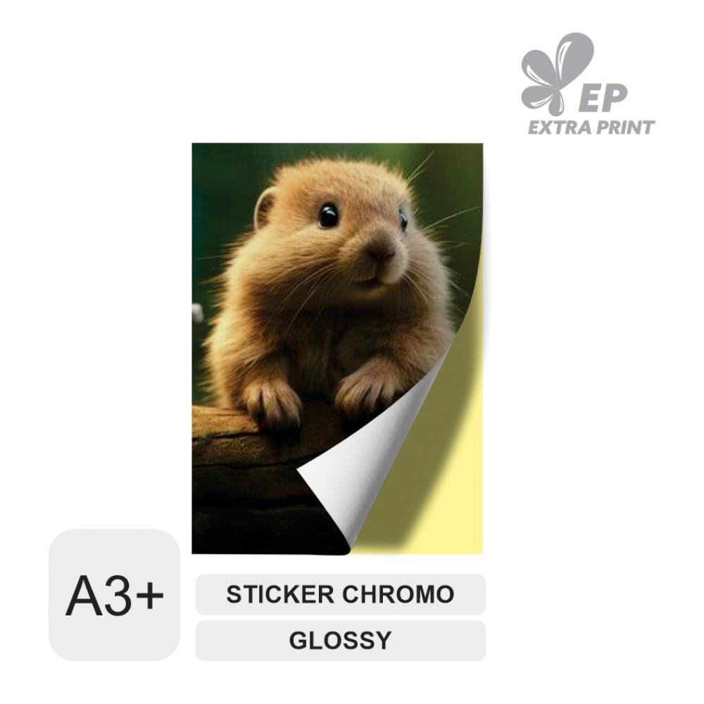 Cetak Digital A3+ Sticker Chromo